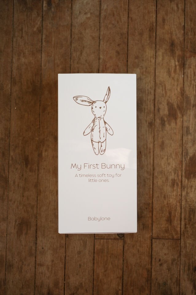 Little Goose Uyku Arkadaşı