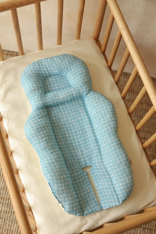 Little Goose Puset Minderi